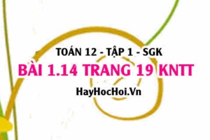 Bài 1.14 trang 19 Toán 12 tập 1 Kết nối tri thức